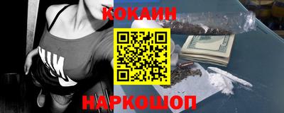 стафф Гатчина