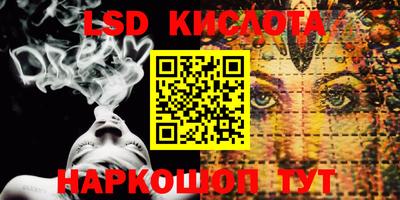 стафф Гатчина