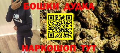стафф Гатчина