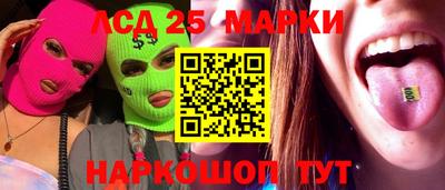 стафф Гатчина
