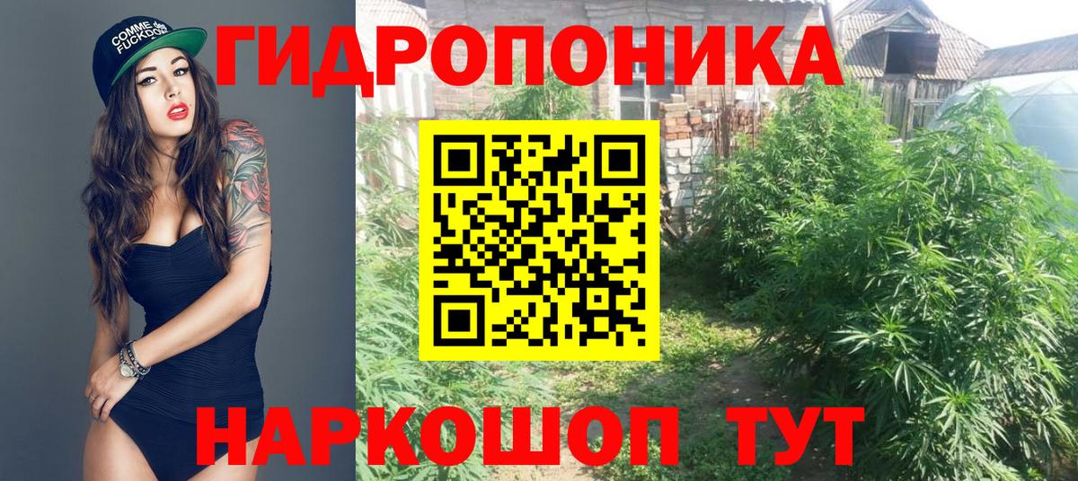 Нижнеудинск  Канабис конопля  Бошки Шишки MAZAR  Бошки Шишки индика  Вход с VPN  Каннабис план 